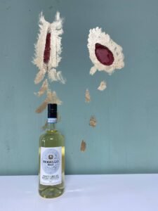 Modello delle Venezie Pinot Grigio, Masi