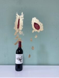 Los Gansos Pinot Noir