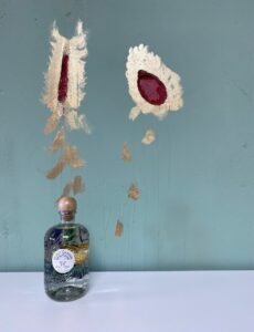 Secret Garden Wild Gin Organic Spirit 40%