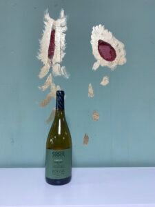 Eggo Zorzal, Sauvignon Blanc