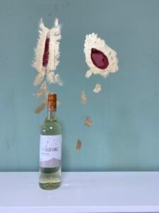 The Veldt Range Pinot Grigio