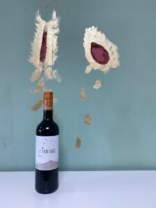 The Veldt Range Shiraz