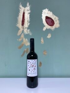 Terre Du Soleil Merlot 2024 Pays d’Oc