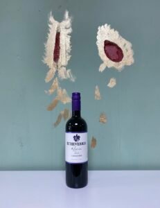 Echeverria Carmenere Reserva